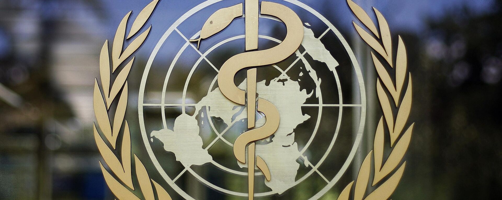 Logo de la Organización Mundial de la Salud (OMS) - Sputnik Mundo, 1920, 17.10.2024