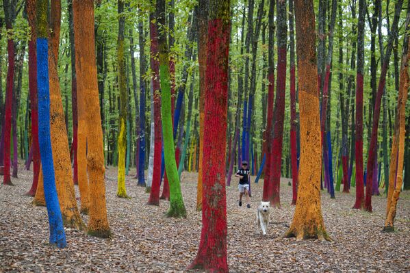 Un niño juega con un perro en el bosque The Colored Forrest, al sur de Rumanía. Ese bosque con los árboles pintados es un proyecto de artistas locales para concienciar sobre la deforestación a gran escala debido a la tala excesiva. - Sputnik Mundo