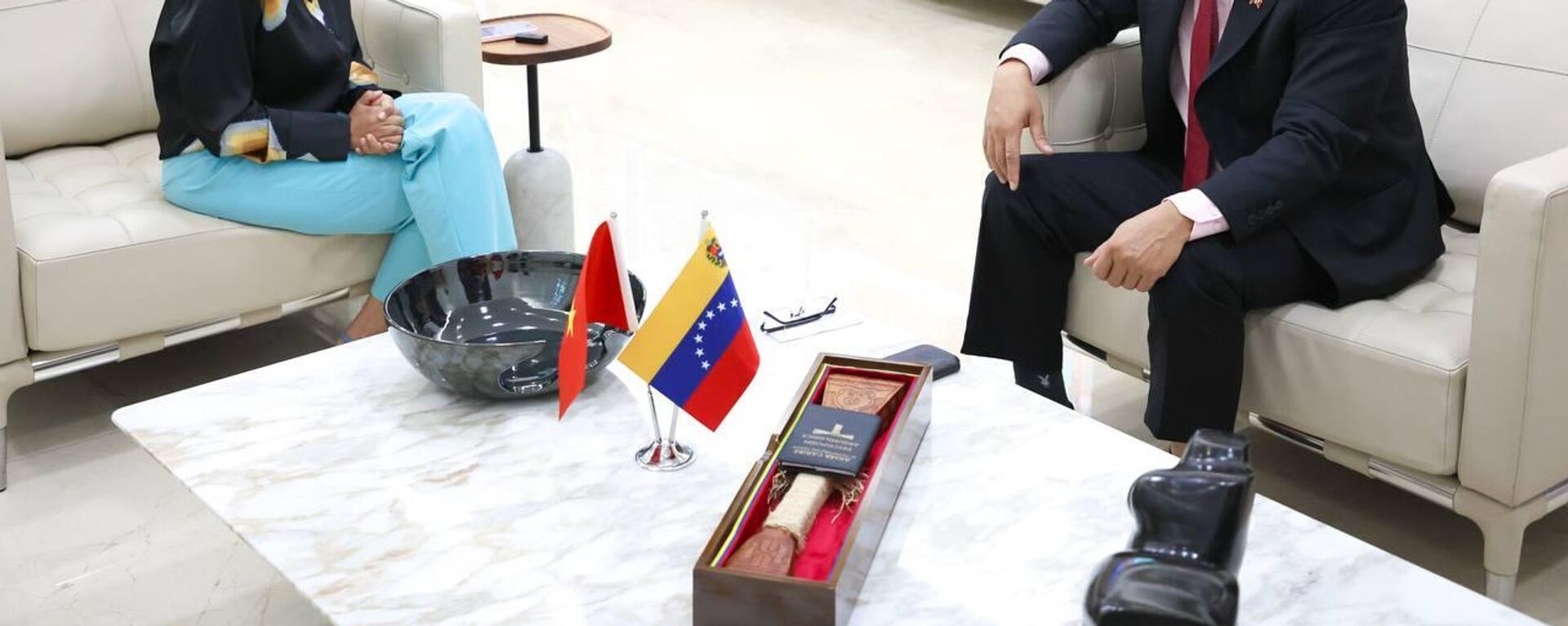 Delcy Rodríguez y Vu Trung My - Sputnik Mundo, 1920, 20.10.2024