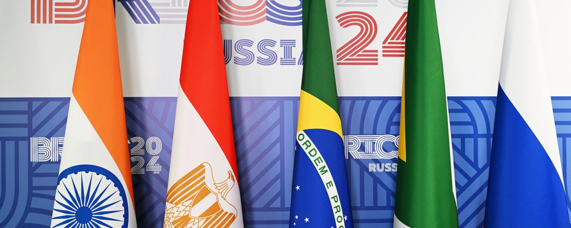 Banderas de los países miembros del Foro Digital BRICS  - Sputnik Mundo, 1920, 23.10.2024