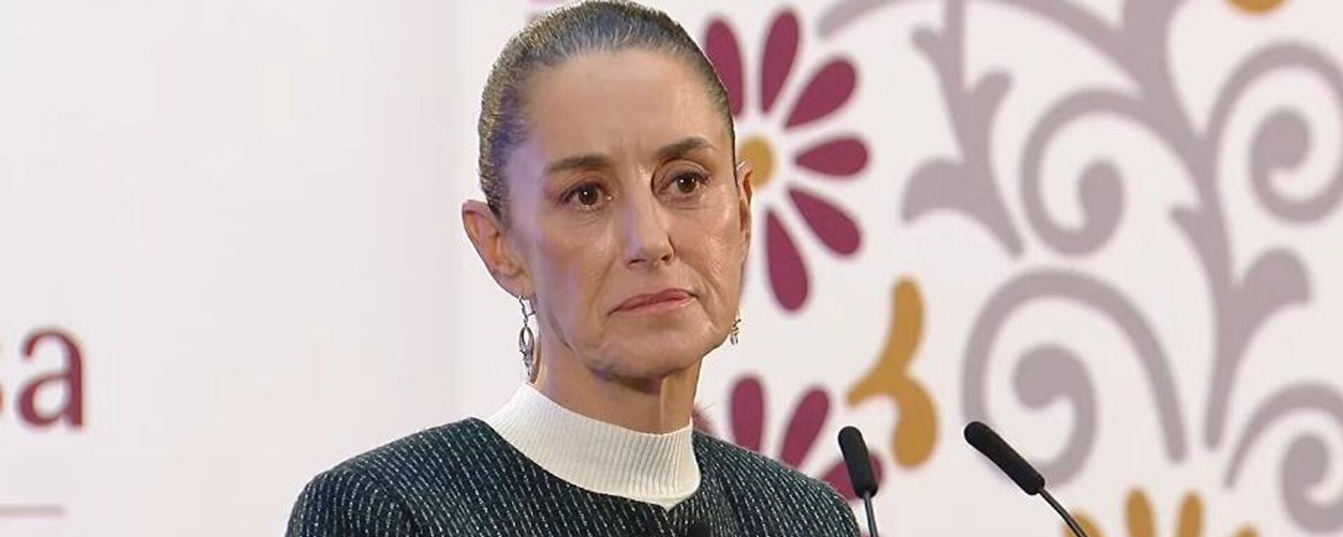 La presidenta de México, Claudia Sheinbaum. - Sputnik Mundo, 1920, 23.01.2025