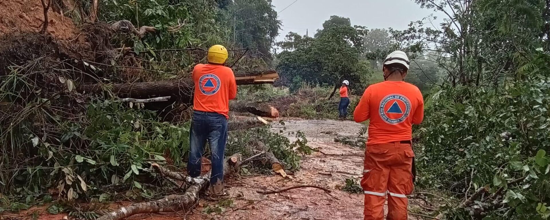 Afectaciones en Panamá por las lluvias - Sputnik Mundo, 1920, 04.11.2024