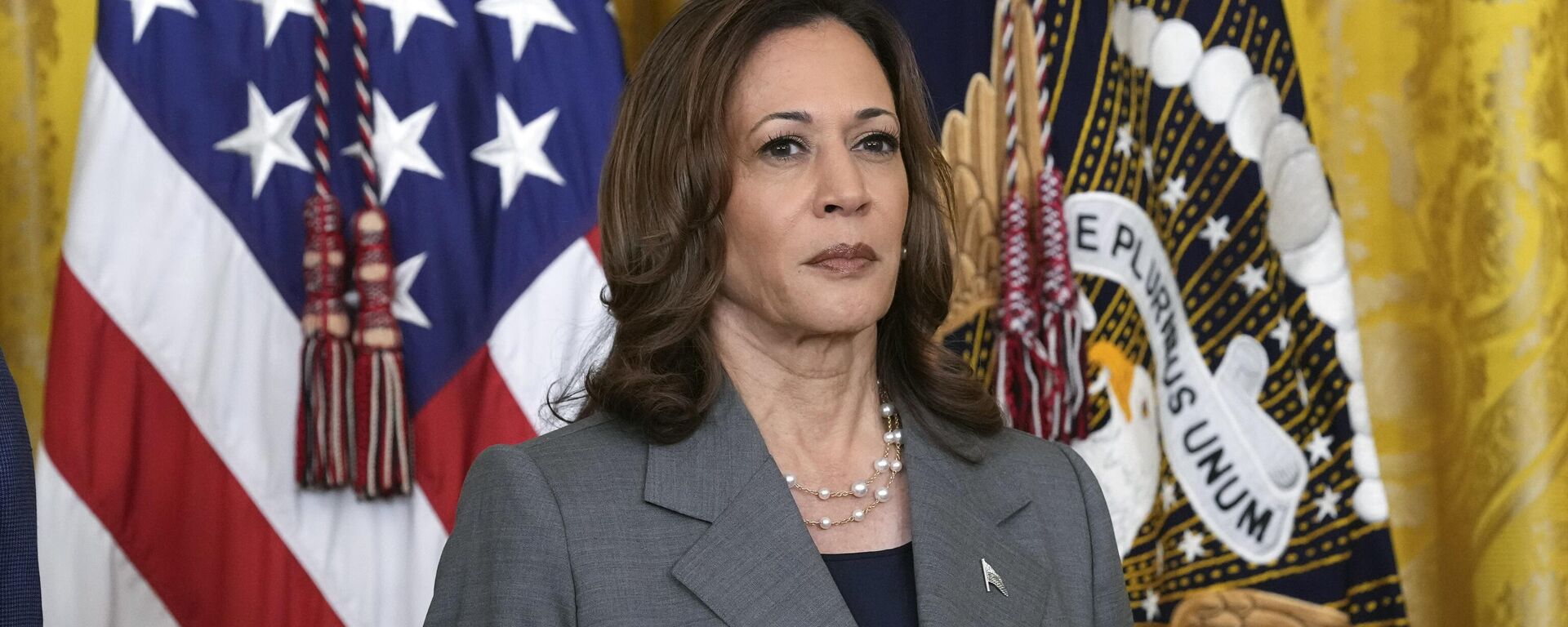 La vicepresidenta estadounidense Kamala Harris - Sputnik Mundo, 1920, 06.11.2024