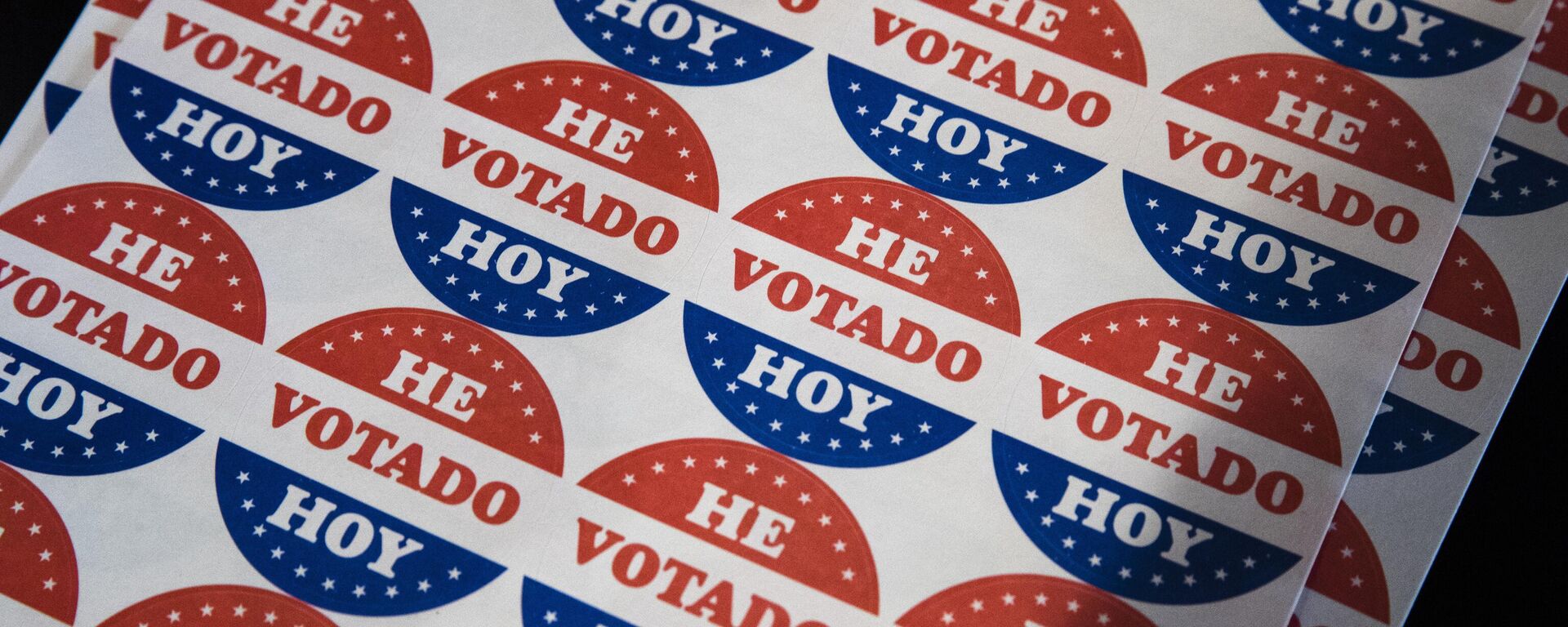 El voto latino fue determinante  - Sputnik Mundo, 1920, 07.11.2024