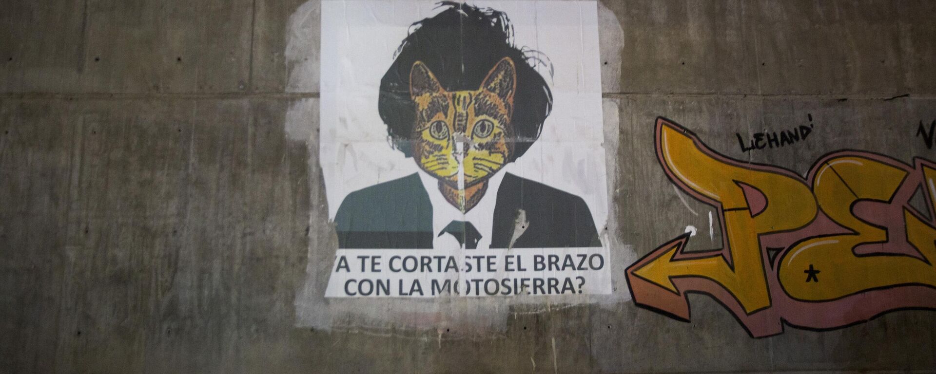 Un cartel crítico con el presidente argentino Javier Milei en forma de funda de gato cuelga de una acera en La Rioja, Argentina, el sábado 14 de septiembre de 2024.  - Sputnik Mundo, 1920, 09.11.2024