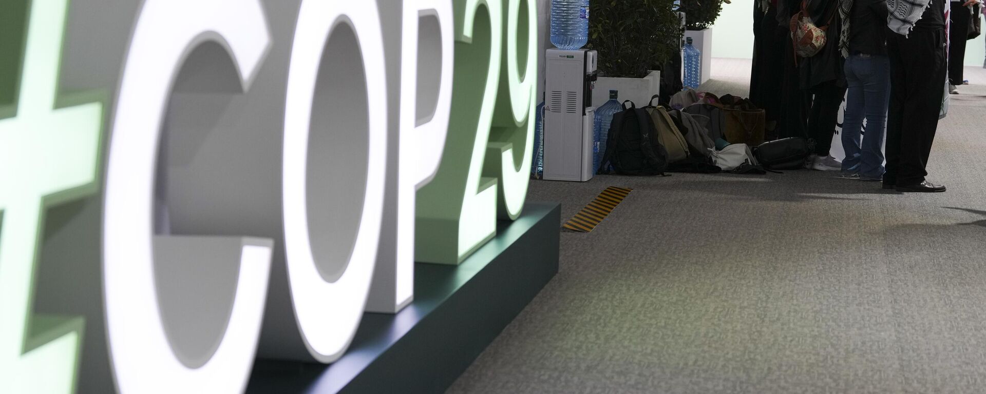 Conferencia de la ONU sobre el Cambio Climático en Bakú, Azerbaiyán, el 11 de noviembre de 2024 - Sputnik Mundo, 1920, 11.11.2024