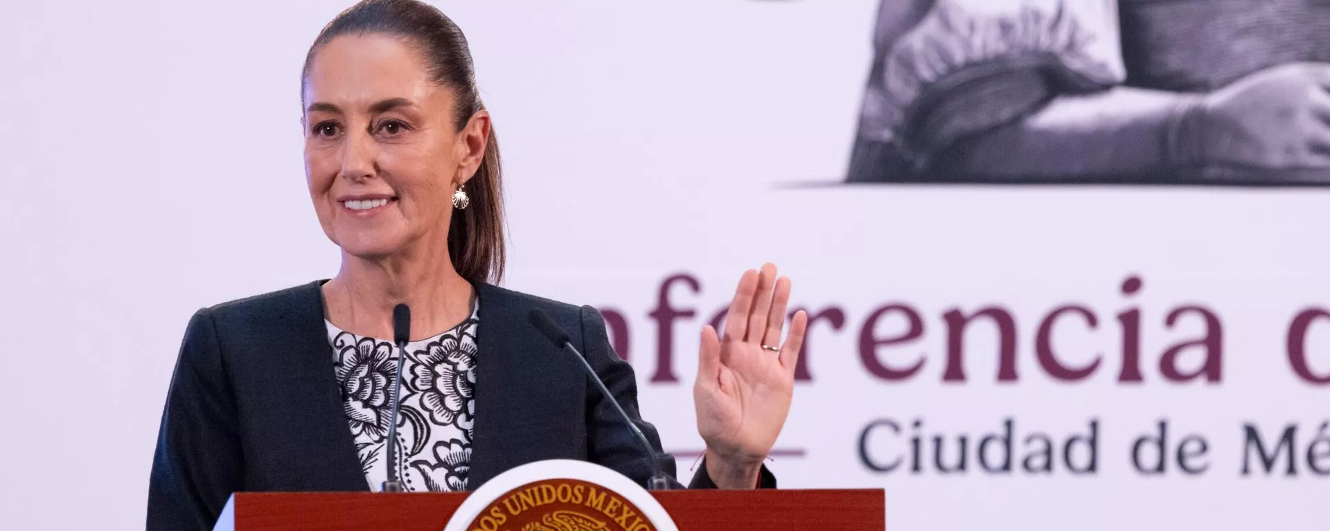 La presidenta de México, Claudia Sheinbaum. - Sputnik Mundo, 1920, 14.11.2024