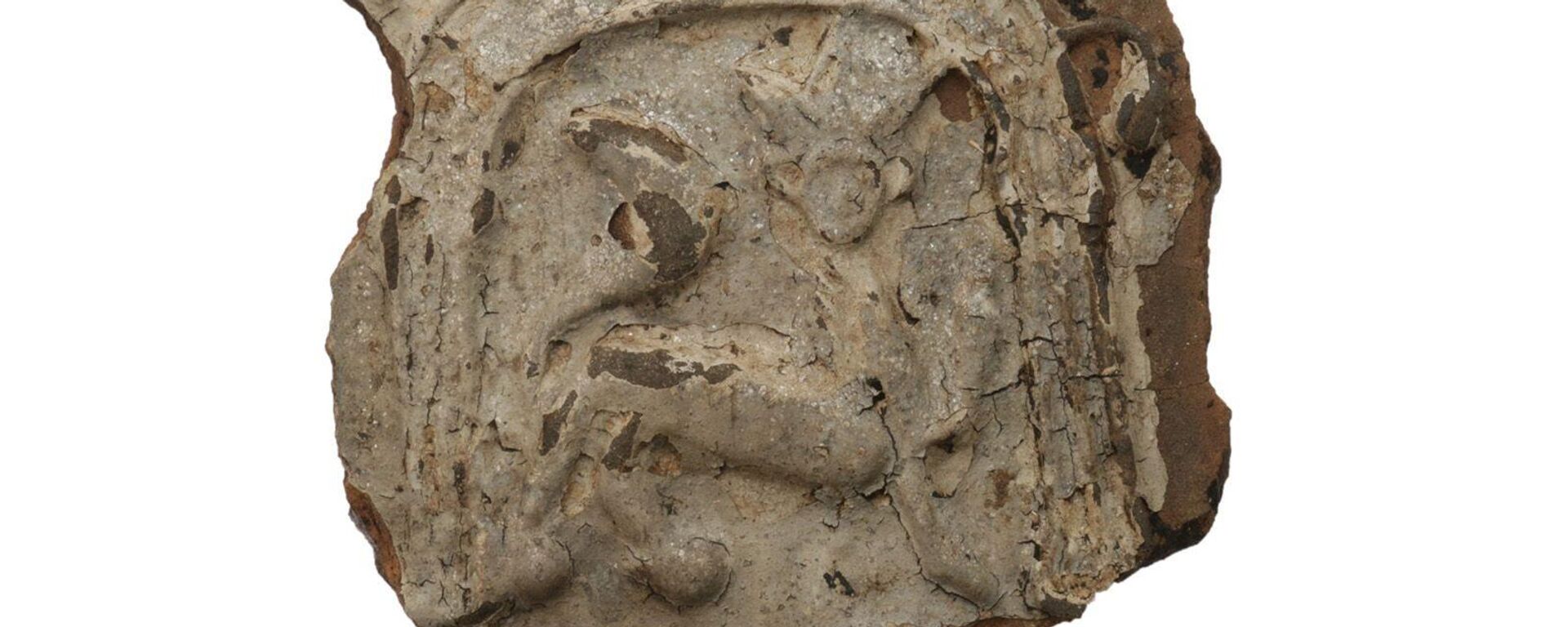 Azulejos de arcilla roja, con una imagen de una gata en una corona, halladas en Moscú, Rusia - Sputnik Mundo, 1920, 12.11.2024