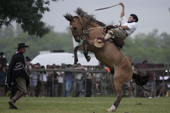 Un gaucho participa en una exhibición de rodeo durante el Día de la Tradición, destinado a preservar la cultura gaucha y celebrar el nacimiento del escritor José Hernández, en San Antonio de Areco, Buenos Aires, Argentina. - Sputnik Mundo