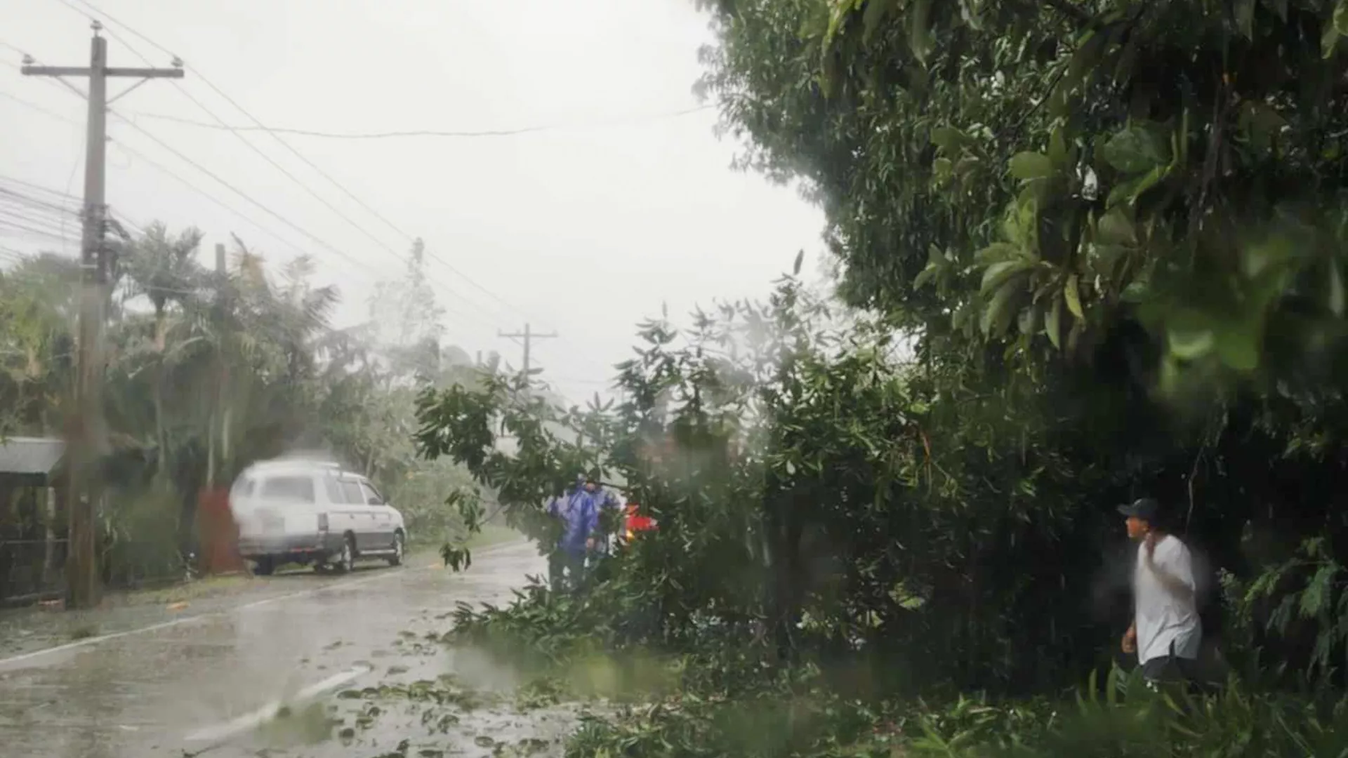 Trabajadores despejan una carretera tras la caída de un árbol debido al fuerte viento del tifón Yinxing, llamado Marce en Filipinas, en Lal-lo, provincia de Cagayan, en el norte de Filipinas, el 7 de noviembre de 2024  - Sputnik Mundo, 1920, 16.11.2024