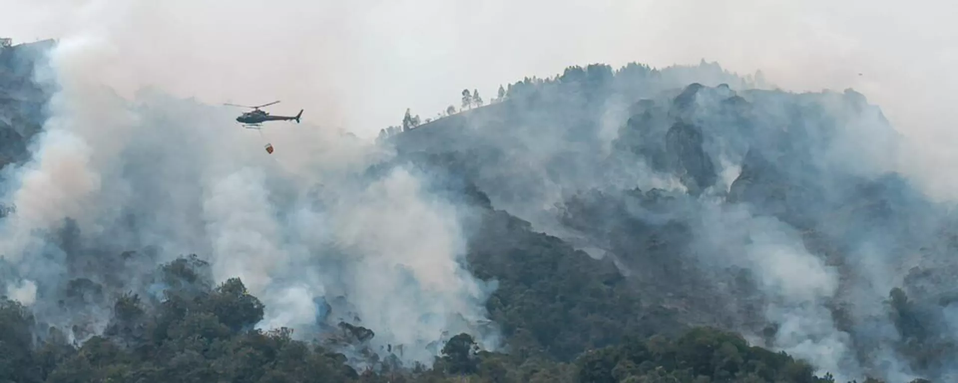 Combate de incendios en Ecuador - Sputnik Mundo, 1920, 18.11.2024