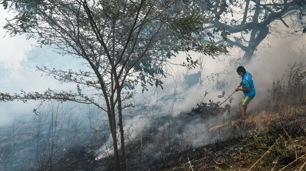 Incendios forestales en Ecuador  - Sputnik Mundo