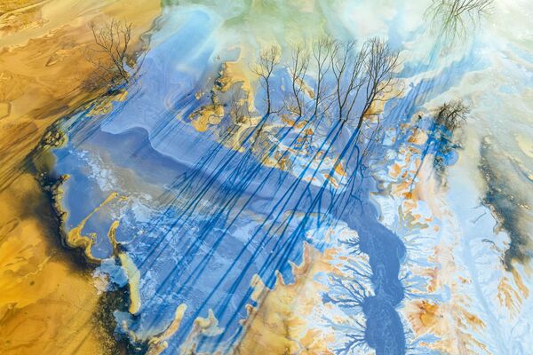 La obra Belleza venenosa ganó el tercer puesto en la modalidad Fotógrafo internacional de paisajes del año. La autora es Gheorghe Popa, de Rumanía. - Sputnik Mundo