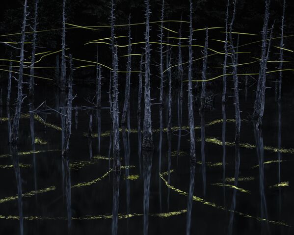 El artista japonés Ryohei Irie ganó el concurso con su obra Rastros de luz en la selección de Fotografía internacional de paisaje del año. - Sputnik Mundo