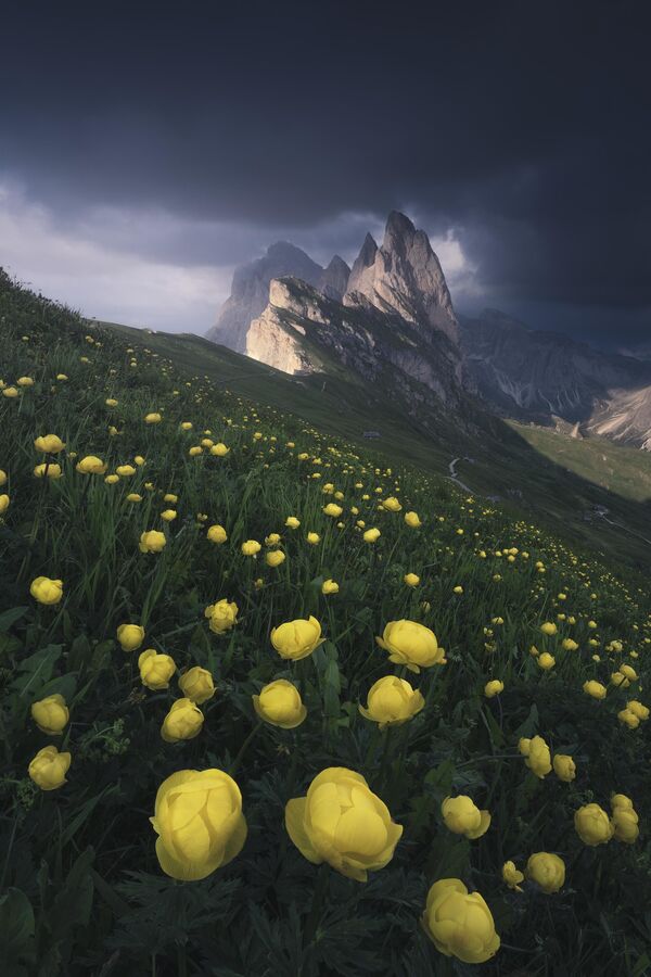 Seceda, tomada en los Alpes Dolomitas por el fotógrafo de Taiwán Hong Jen Chiang. Esta obra fue mostrada entre las 101 mejores del concurso. - Sputnik Mundo