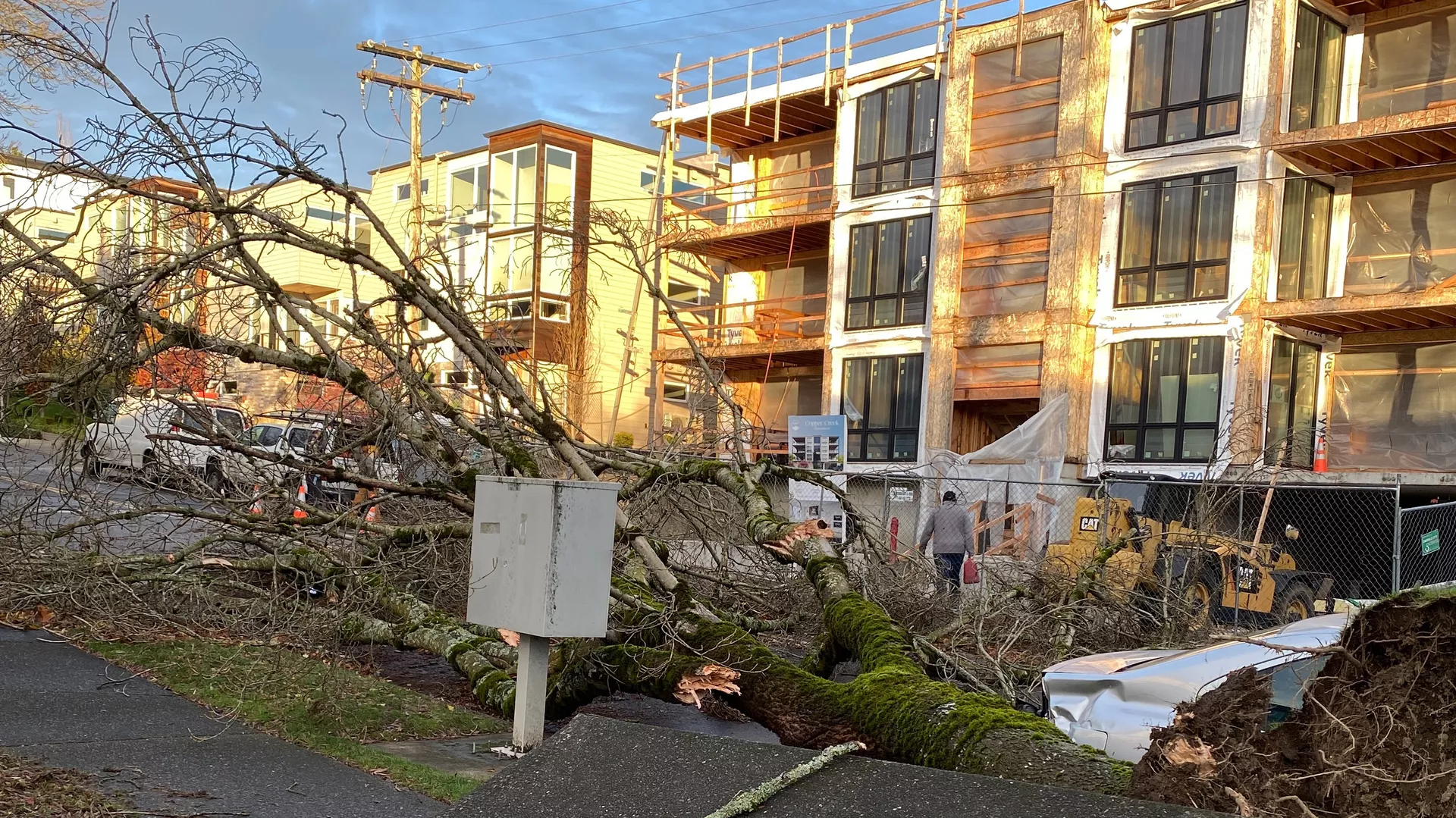 Las tormentas y ráfagas de viento provocaron daños y la caída de árboles en varias partes del estado de Washington. Las tormentas y ráfagas de viento provocaron daños y la caída de árboles en varias partes del estado de Washington. - Sputnik Mundo, 1920, 21.11.2024