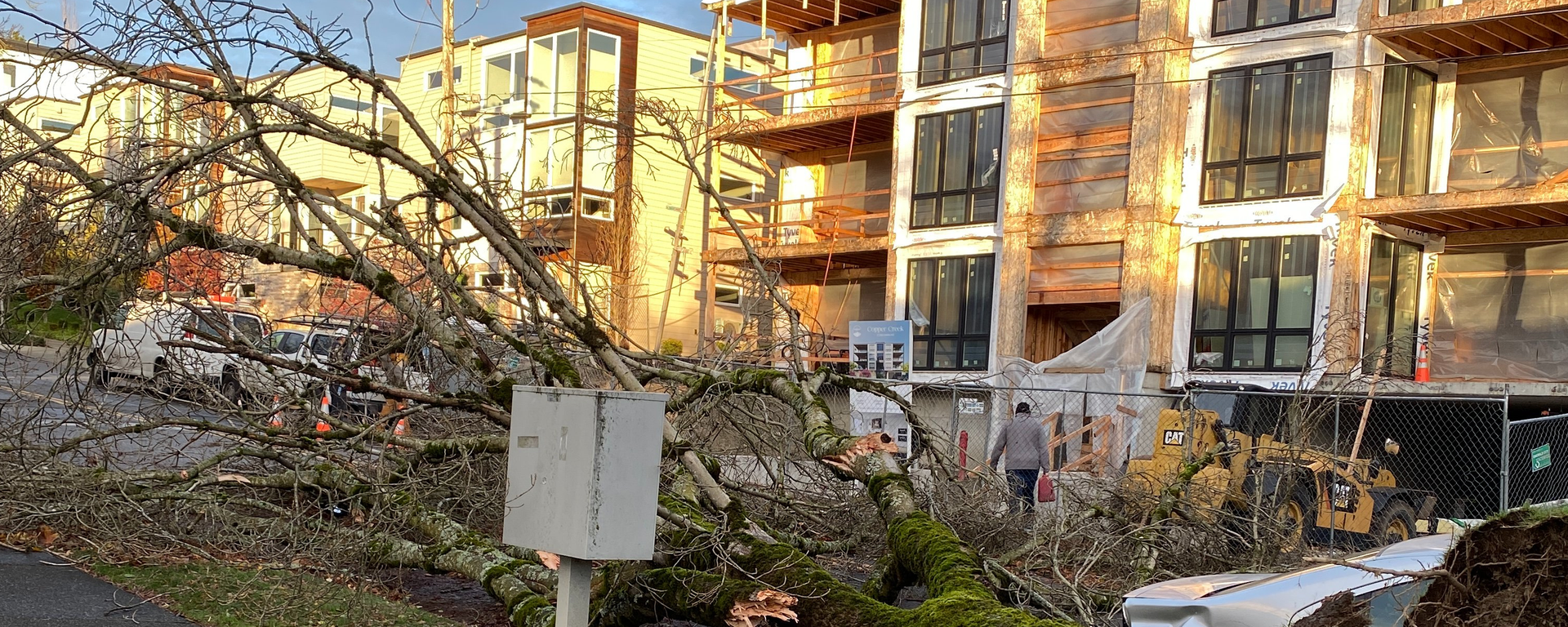 Las tormentas y ráfagas de viento provocaron daños y la caída de árboles en varias partes del estado de Washington.  - Sputnik Mundo, 1920, 21.11.2024