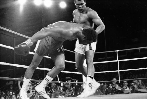 El boxeador Muhamad Ali, aspirante al título, observa cómo el campeón mundial, George Foreman, cae a la lona en el octavo asalto de su combate por el campeonato de la Asociación Mundial de Boxeo (AMB), el 30 de octubre de 1974 en Zaire. - Sputnik Mundo