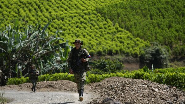 Miembros de un grupo rebelde que se separó de las antiguas Fuerzas Armadas Revolucionarias de Colombia, o FARC, patrullan una carretera junto a campos de coca en la región del Cañón de Micay, suroeste de Colombia, el miércoles 14 de agosto de 2024. La antigua facción de las FARC, conocida por Sus siglas en español FARC-EMC, ha establecido controles de carreteras para controlar partes de la región y protege las plantaciones de hoja de coca en las laderas de sus montañas. (Foto AP/Fernando Vergara) - Sputnik Mundo