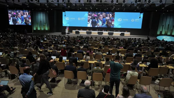 La Conferencia de la ONU sobre el Cambio Climático (COP29) de 2024 - Sputnik Mundo