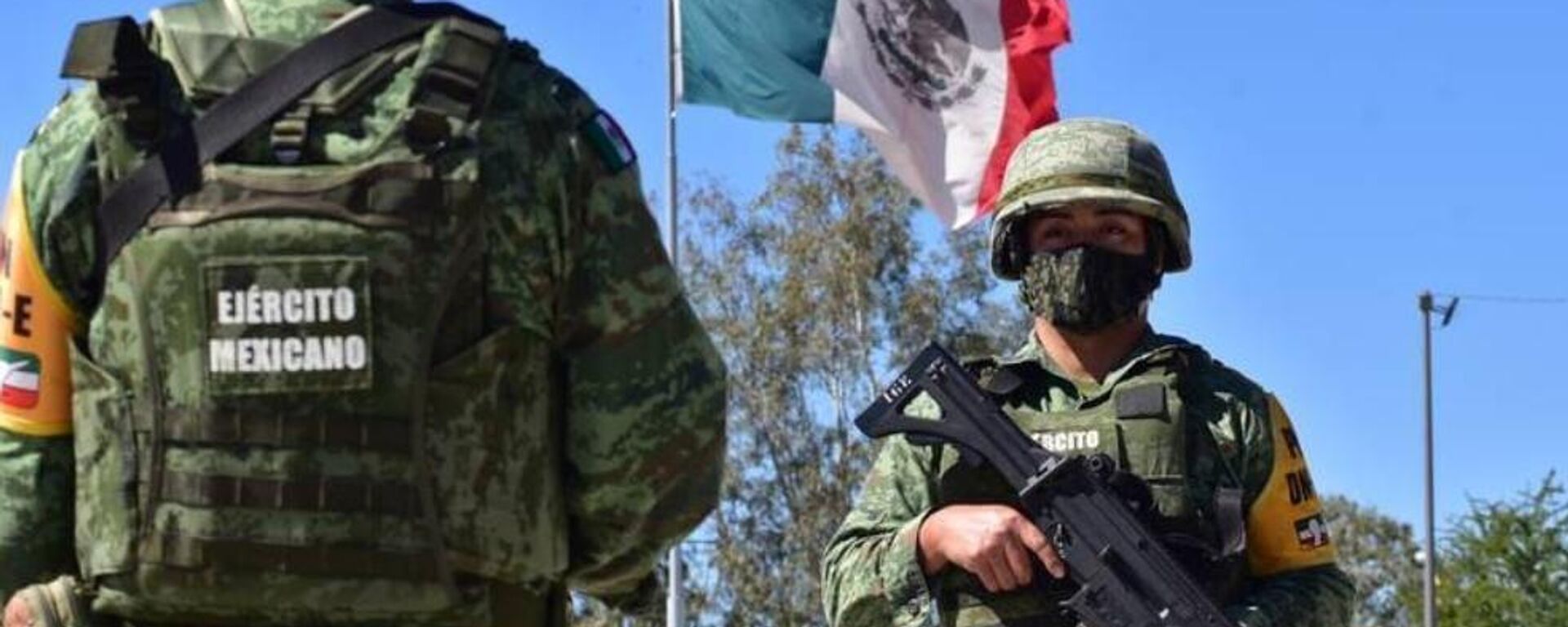 Elementos de la Defensa de México - Sputnik Mundo, 1920, 28.11.2024