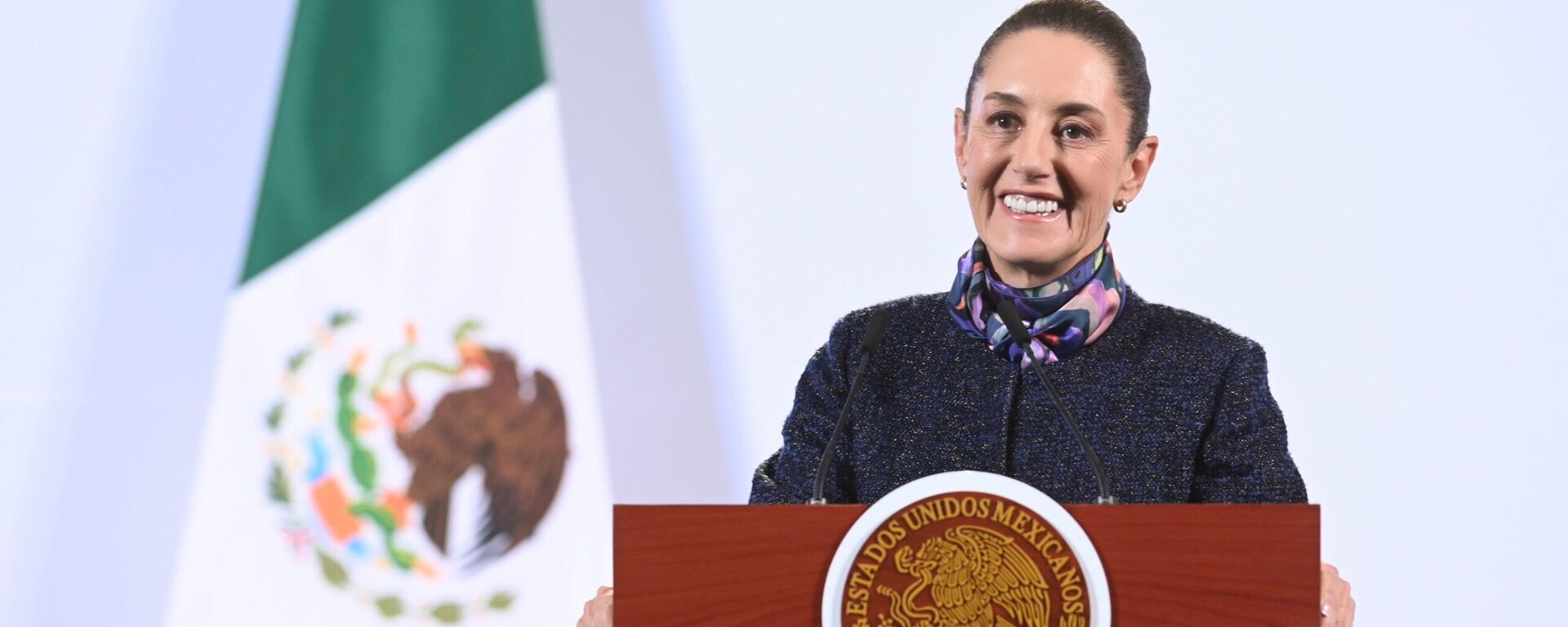 La presidenta de México, Claudia Sheinbaum. - Sputnik Mundo, 1920, 29.11.2024