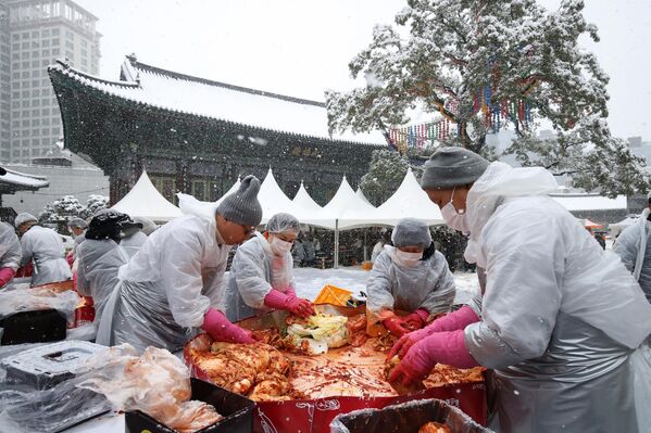 Voluntarios en la capital surcoreana, Seúl, preparan el plato llamado kimchi para donar a los pobres de cara a la llegada del frío.Kimchi es un plato tradicional coreano a base de verduras fermentadas, normalmente mezcladas con guindilla. Históricamente, la tradición de hacer este plato comenzó como una necesidad para almacenar y conservar verduras durante las largas, duras y frías temporadas. Voluntarios en la capital surcoreana, Seúl, preparan el plato llamado kimchi para donar a los pobres de cara a la llegada del frío.Kimchi es un plato tradicional coreano a base de verduras fermentadas, normalmente mezcladas con guindilla. Históricamente, la tradición de hacer este plato comenzó como una necesidad para almacenar y conservar verduras durante las largas, duras y frías temporadas. - Sputnik Mundo