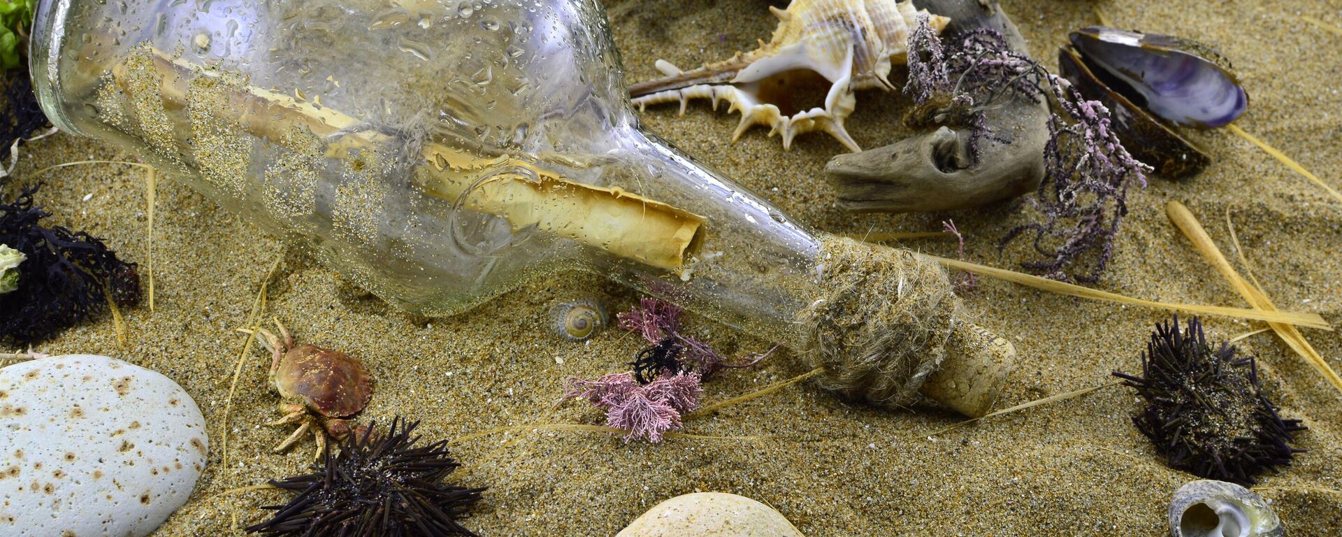 Botella encontrada en la playa (imagen referencial)  - Sputnik Mundo, 1920, 02.12.2024