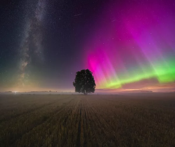 Cuando la aurora se encuentra con la Vía Láctea - Janis Paulis (Letonia).Un resplandor rosado, ambientado por la niebla del lugar en la medianoche de Letonia. - Sputnik Mundo
