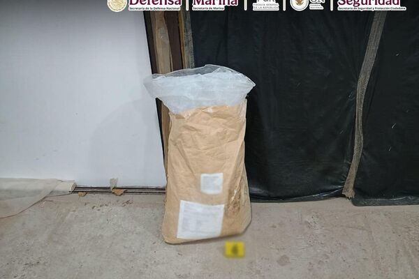 Incautan más de una tonelada de fentanilo en estado mexicano de Sinaloa - Sputnik Mundo