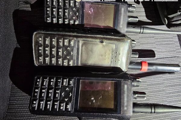 Incautan más de una tonelada de fentanilo en estado mexicano de Sinaloa - Sputnik Mundo