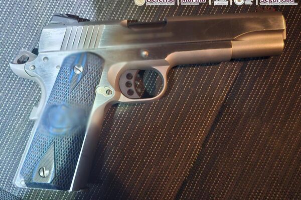 Incautan más de una tonelada de fentanilo en estado mexicano de Sinaloa - Sputnik Mundo