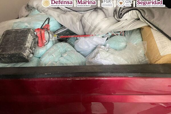 Incautan más de una tonelada de fentanilo en estado mexicano de Sinaloa - Sputnik Mundo