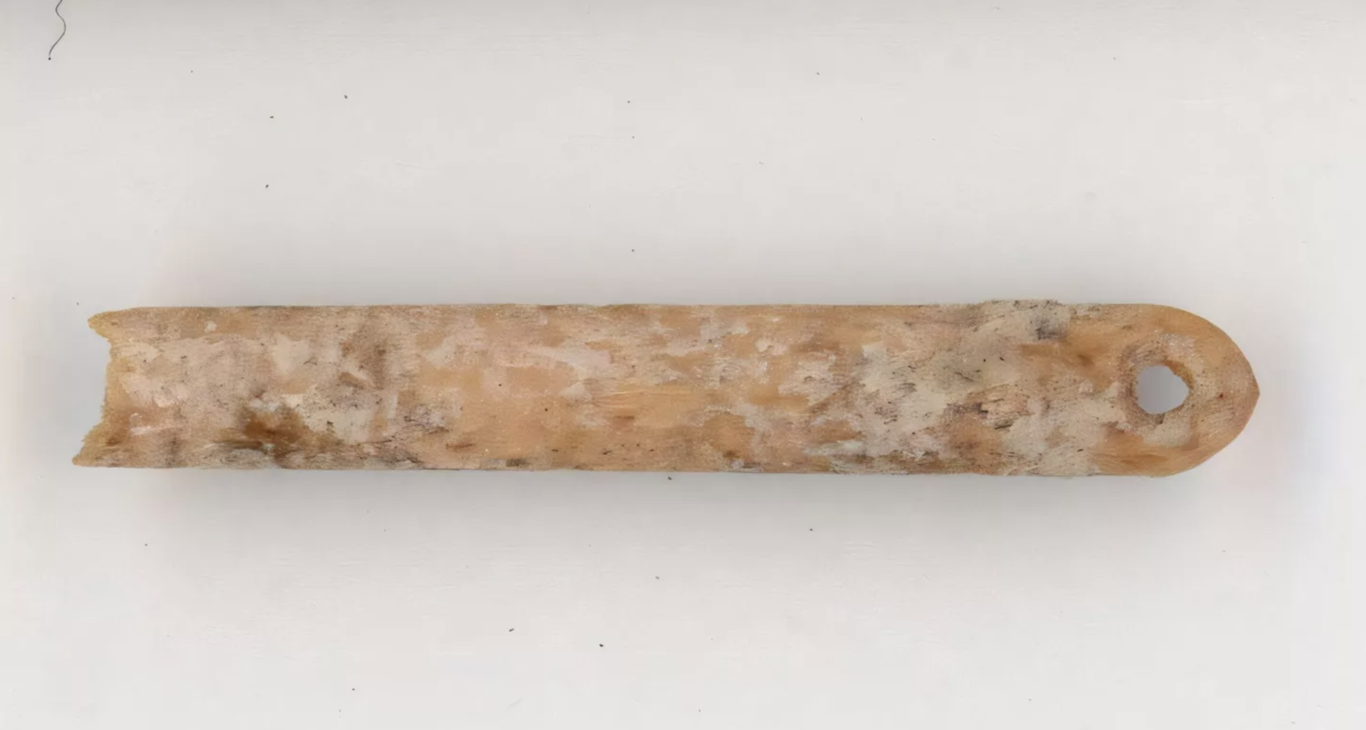 Una aguja de hueso de zorro rojo de 13.000 años de antigüedad Una aguja de hueso de zorro rojo de 13.000 años de antigüedad - Sputnik Mundo, 1920, 05.12.2024