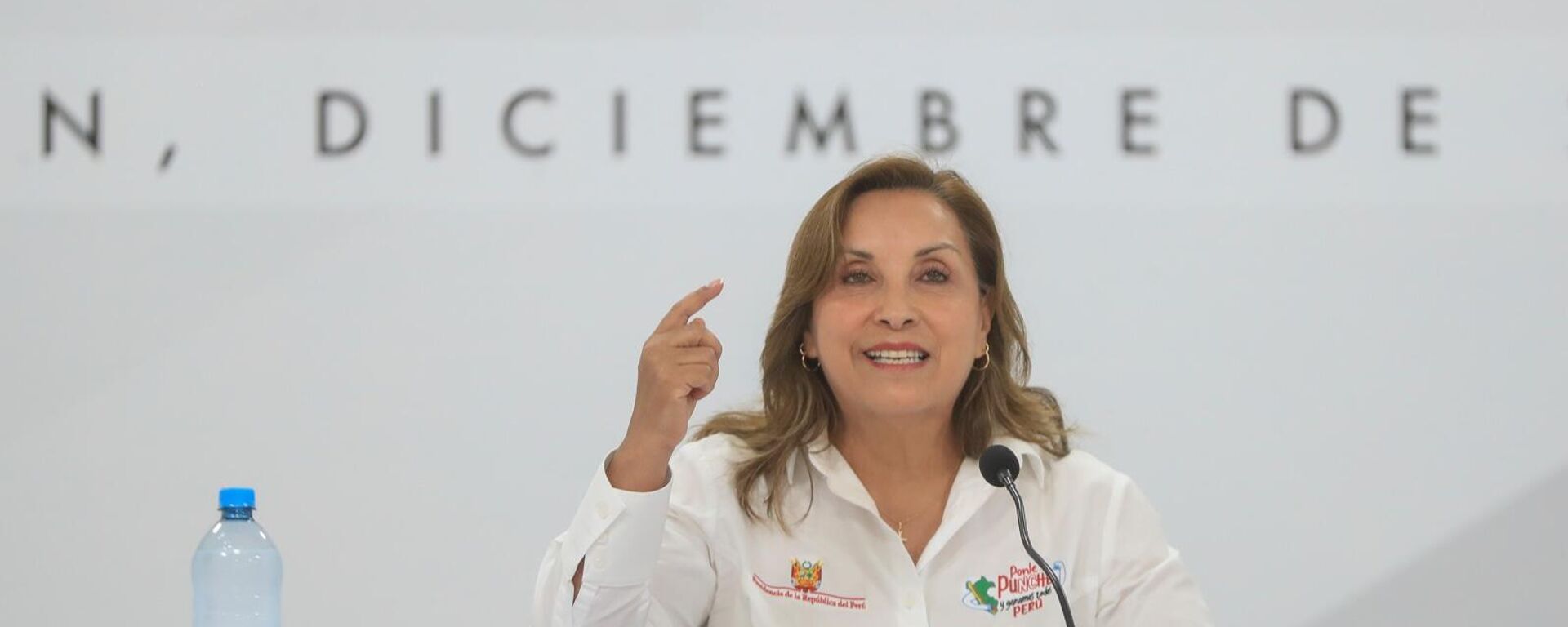 Dina Boluarte, presidenta de Perú - Sputnik Mundo, 1920, 06.12.2024