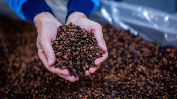 Granos de café (referencial) - Sputnik Mundo