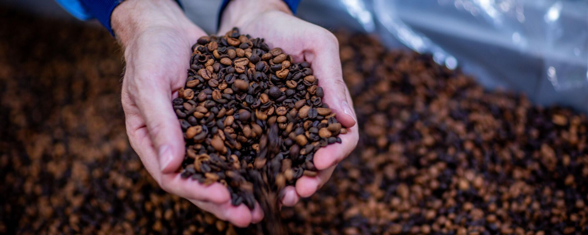 Granos de café (referencial) - Sputnik Mundo, 1920, 10.12.2024