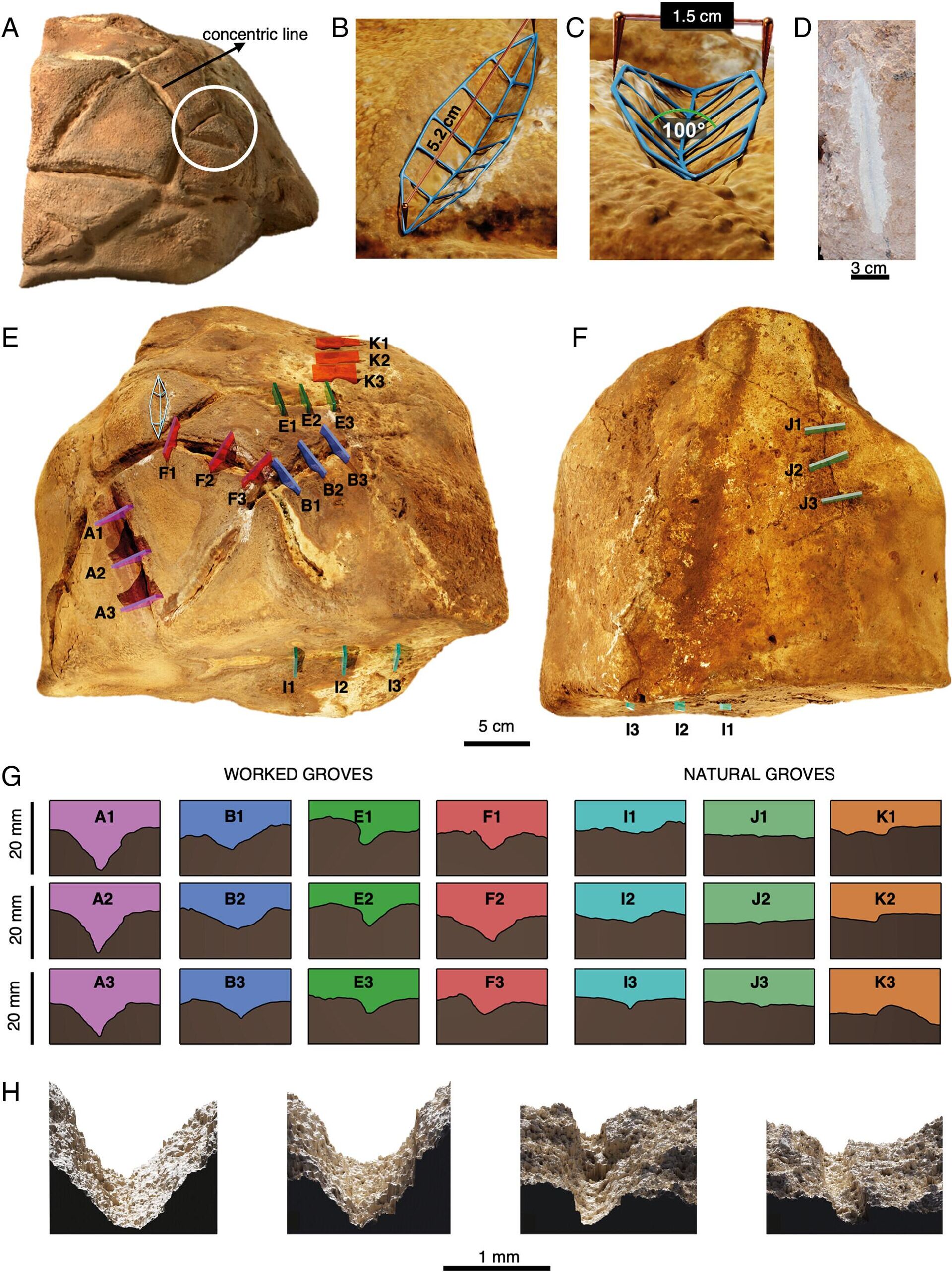 Macrotopografía de surcos artificiales y naturales en el canto rodado de la Cueva de Manot - Sputnik Mundo, 1920, 10.12.2024