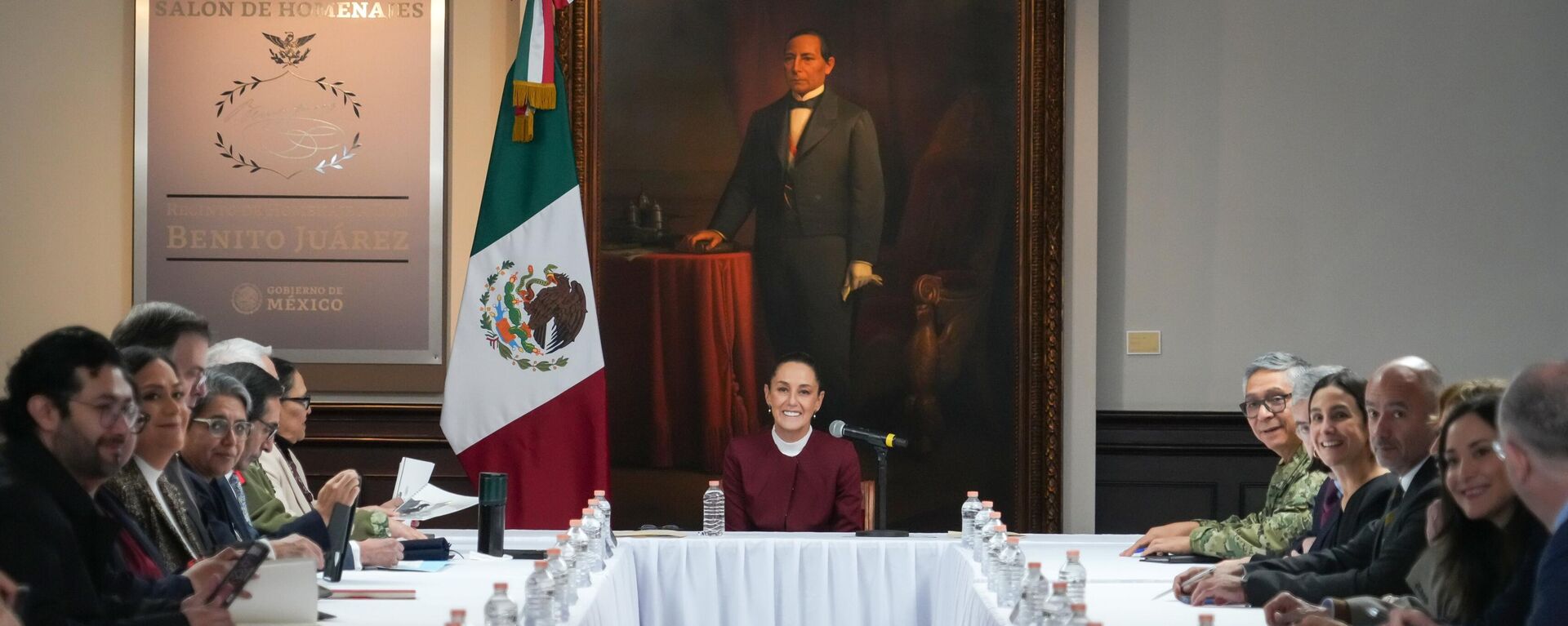 La presidenta mexicana Claudia Sheinbaum - Sputnik Mundo, 1920, 11.12.2024