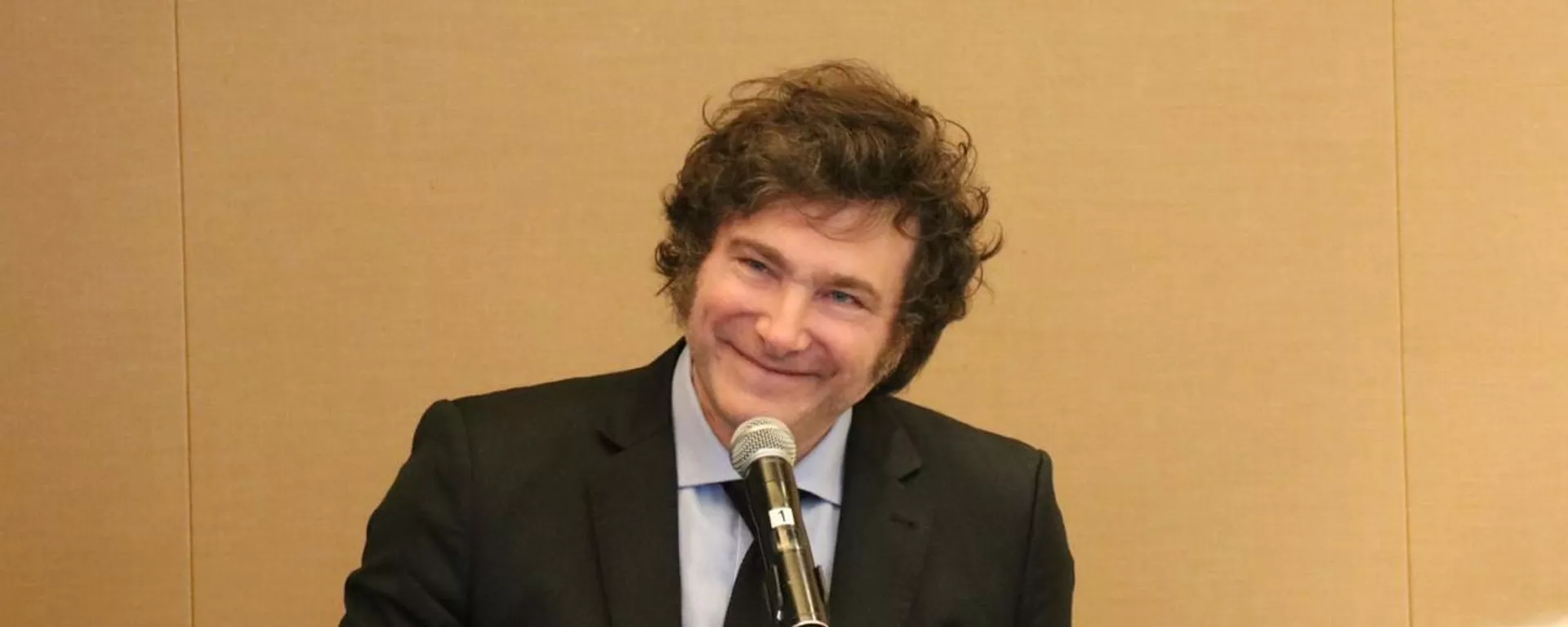 Javier Milei, presidente de Argentina - Sputnik Mundo, 1920, 12.12.2024