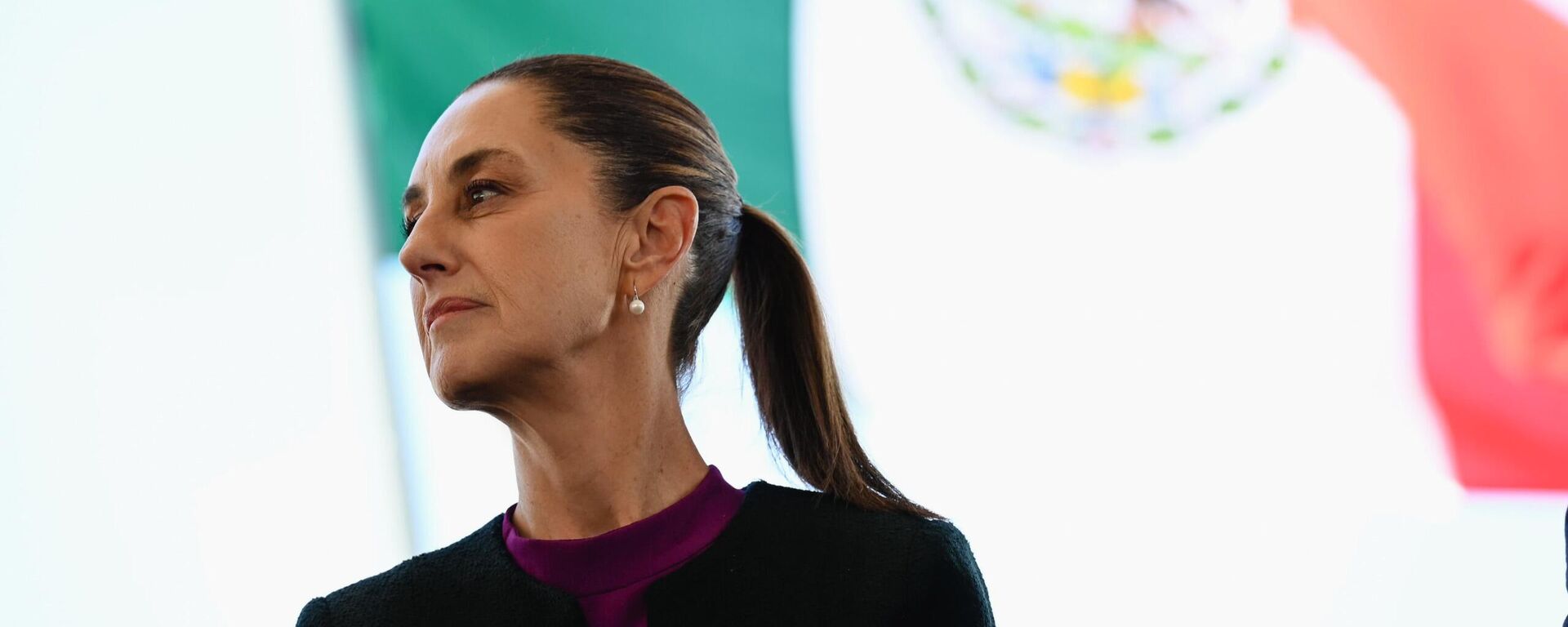 Claudia Sheinbaum, presidenta de México - Sputnik Mundo, 1920, 07.01.2025