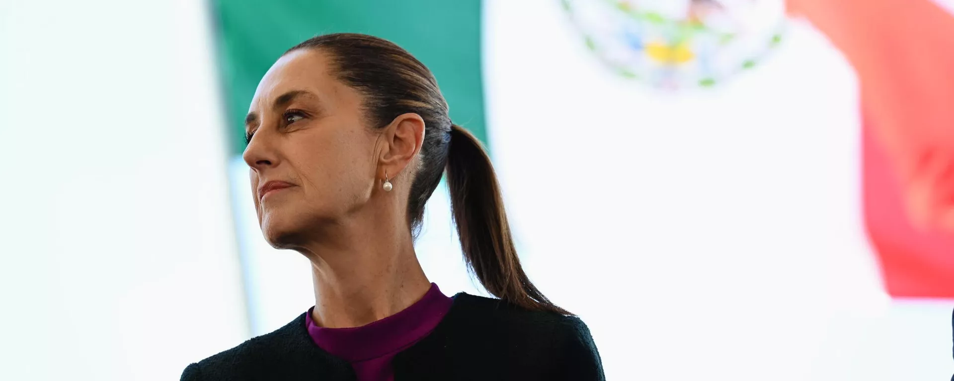 Claudia Sheinbaum, presidenta de México - Sputnik Mundo, 1920, 13.12.2024