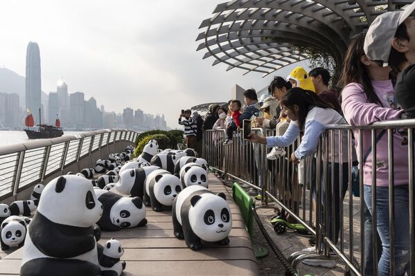 La foto capta una parte de las 2.500 esculturas de pandas que se exhiben en un paseo del puerto Victoria Harbour en Hong Kong durante la exposición temática ¡Panda Go! (¡Panda adelante!). - Sputnik Mundo