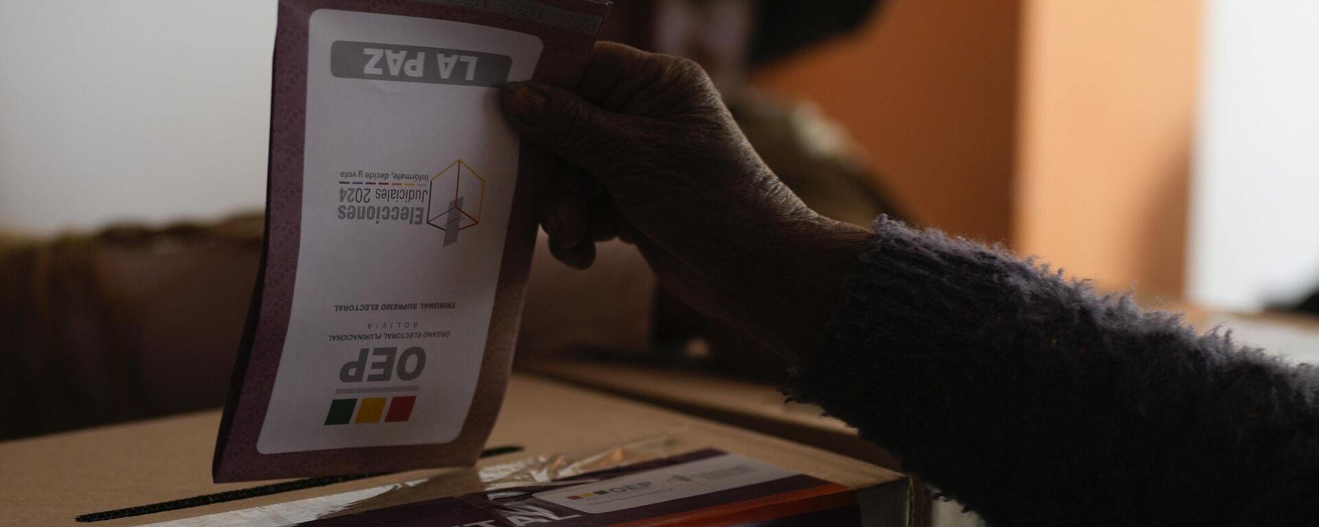 Una papeleta de las elecciones judiciales de Bolivia - Sputnik Mundo, 1920, 05.02.2025