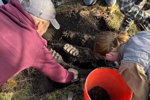 Personal del Museo del Estado de Nueva York y SUNY Orange trabaja en la excavación de los dientes y la mandíbula de mastodonte - Sputnik Mundo