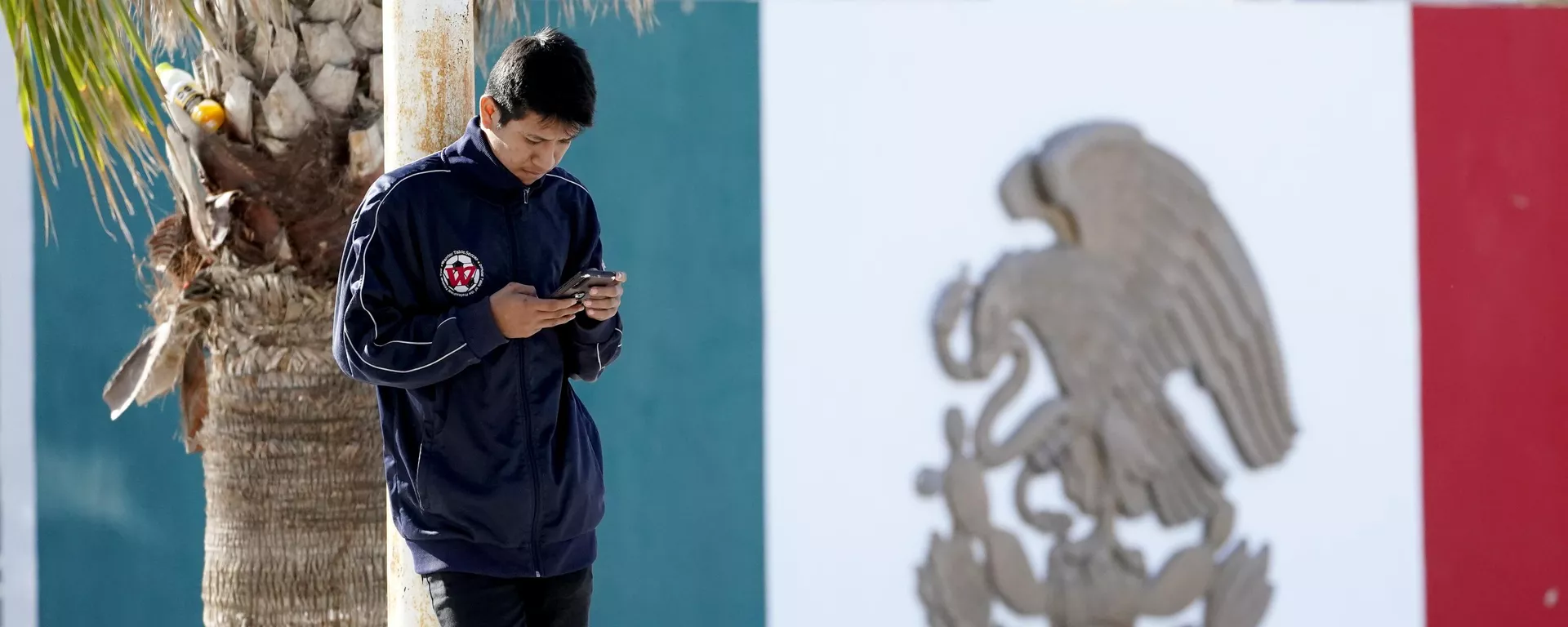 Joven usando su celular en México - Sputnik Mundo, 1920, 20.12.2024