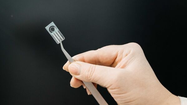 Sensor para detectar pesticidas en los alimentos - Sputnik Mundo