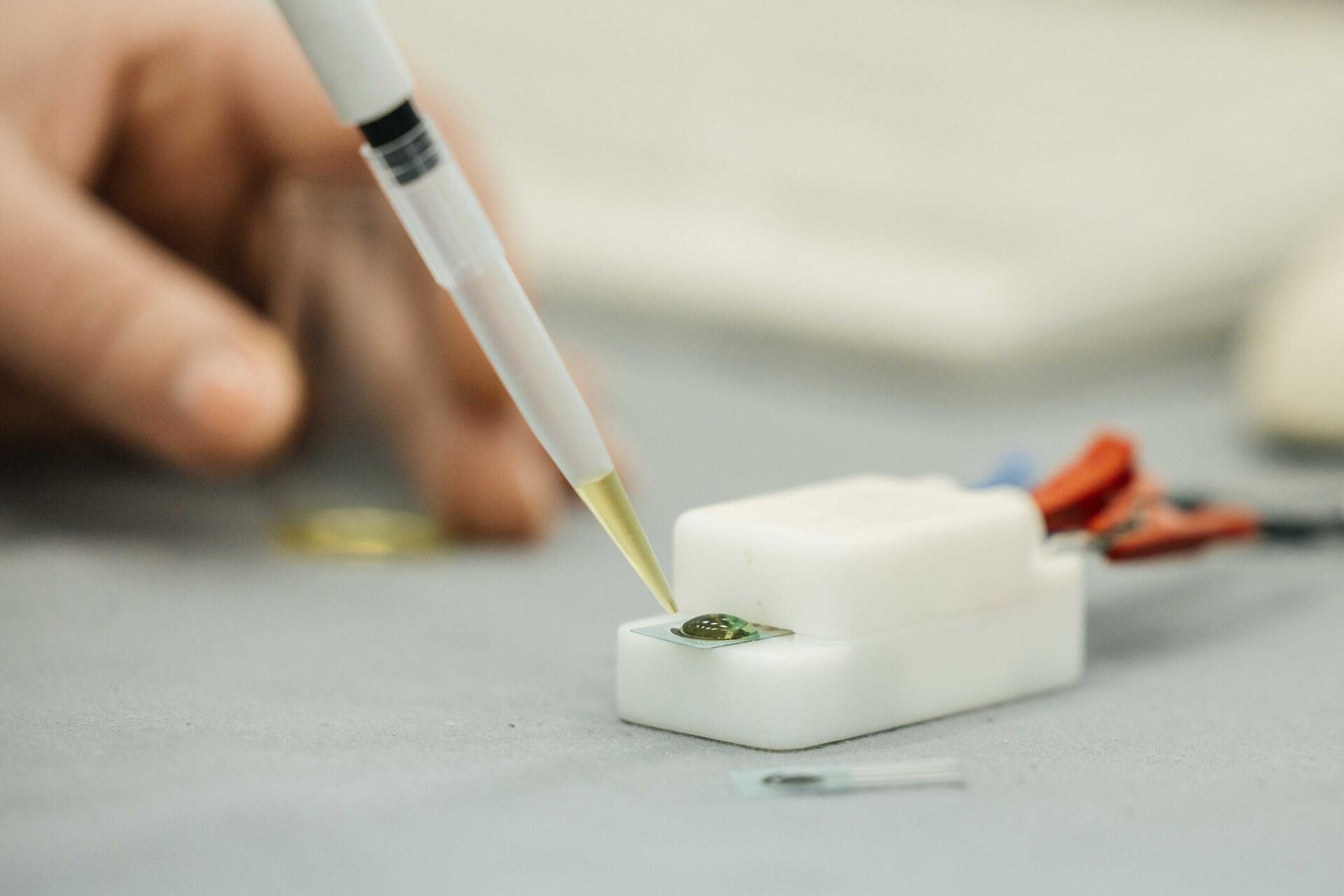 Rusia desarrolla un sensor para detectar pesticidas en los alimentos - Sputnik Mundo, 1920, 23.12.2024