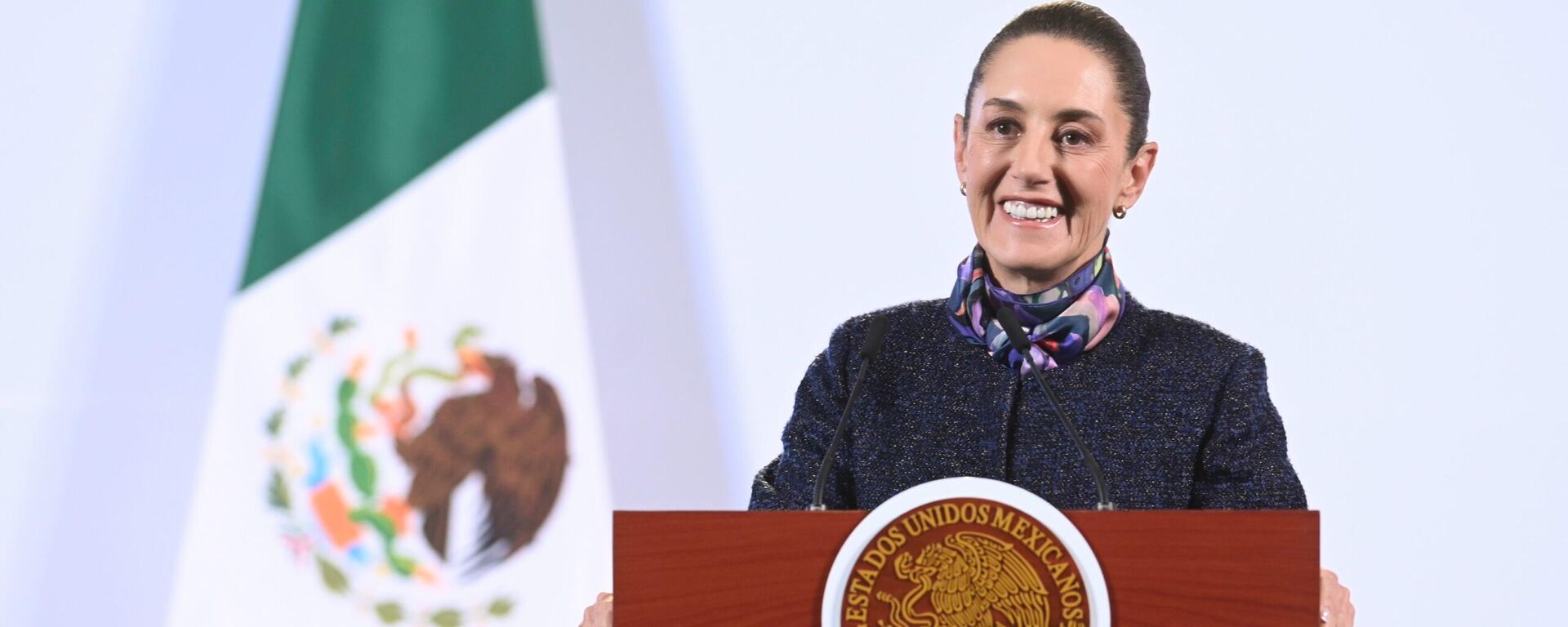 La presidenta de México, Claudia Sheinbaum. La presidenta de México, Claudia Sheinbaum. - Sputnik Mundo, 1920, 23.12.2024