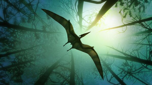 Pteranodon volando por un bosque, ilustración. El Pteranodon (que significa alado y sin dientes) fue uno de los mayores pterosaurios o reptiles voladores conocidos, con una envergadura de más de seis metros  - Sputnik Mundo